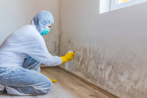Mold Remediation specialist working in Pope Army Airfield