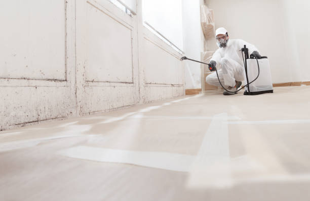 Black mold remediation team in Pope Army Airfield